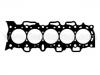 Cylinder Head Gasket:1012500