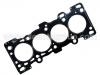 Cylinder Head Gasket:Z501-10-271