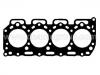 Cylinder Head Gasket:1355-10-271