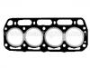 Cylinder Head Gasket:0249-10-271