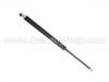 Amortiguador de gas Gas Spring:6N0 827 550 A