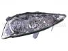 Faros delanteros Headlight:81170-33520